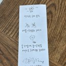 수피다플라워스튜디오