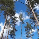 미리내농장 이미지