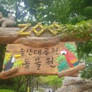 베스트아이들 - 화성시 동탄지성로 20 | 베스트아이들