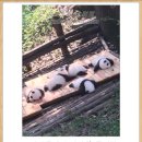 식사하세요 이미지