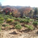반송 이미지