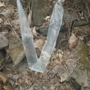 다래농장2 이미지