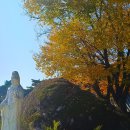 예산-09 이미지