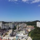 (주)맥사이언스