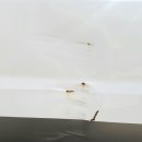 미광모터스 이미지