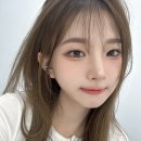 정하연 카카오 검색결과