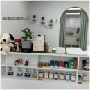 이로운 펫살롱 이미지