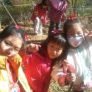 연광초등(병설) 이미지