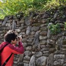 하조민박 이미지