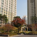 첨단조은공인중개사사무소 이미지