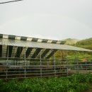 무지개 사슴농장 이미지