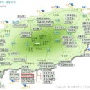 여미지식물원 Daum카페
