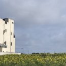 오션라운지 | 포항 오션뷰 카페 케이프라운지 내돈내산 솔직후기