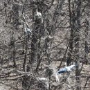 청두곶4길 13 (1) | 천안 독립운동가 이동녕선생기념관 추모제 복식체험 합성사진찍기와 생가 방문 후기