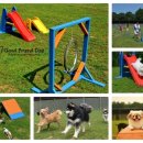 하남애견훈련소 이미지