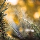 호갱탈출 이미지