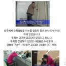 누군가를 떠오르게 하는 남장 여자 재벌 2세 사칭사건 이미지