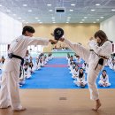 태권도 이미지