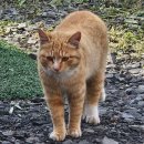 규리네밤하늘 | 무계획 제주 여행_규리네밤하늘 글램핑/오설록/도두동무지개해안도로