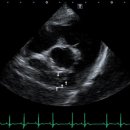 기흥동물병원 이미지