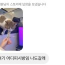 아이디온PC카페 이미지