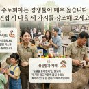 (주)축산랜드 | 에버랜드 주토피아 사육 보조 알바 후기 시급과 업무등 장단점 정리