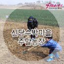 김명수농장 이미지