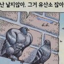 해동반점 이미지