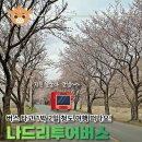 봄나드리투어 이미지