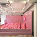 성수팝업스토어 마리아병원 난자냉동 지금저장소 방문후기