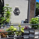 홍이 돼지국밥 이미지