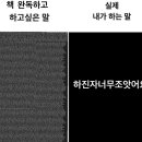 누아(NUA) 네이버블로그