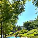 노작호수공원 이미지