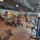 바디토탈휘트니스 이미지