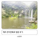 천지연산책로(폭포안) | 서귀포 가볼만한 곳 제주 천지연폭포의 매력적인 풍경으로 풍덩
