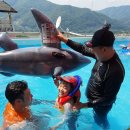 의룡계곡펜션 이미지