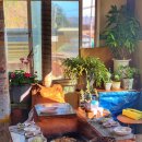 용골농장 | [강릉 맛집] 용골감나무집 / 돌판흑돼지 솔직후기, 분위기 좋은 현지맛집(예약 꿀팁)