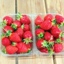 솔비네 집 이미지