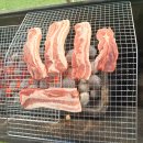 달빛고기 이미지