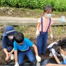 서삼면사무소 이미지