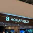 츄러스1500 경기하남점 | 하남 아쿠아필드 워터파크 가격 주말오픈런 이용후기