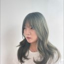 에코레비 에스테틱