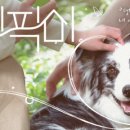 펫미픽미 이미지