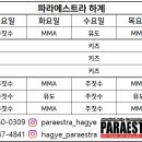 파라에스트라양주주짓수mma