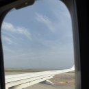 (유) 대신치과재료상사 | 25년 7월의 일상ㅎㅎ