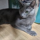 차차차휴게소 이미지