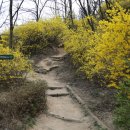 안산공원 이미지