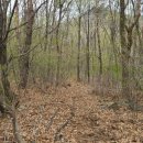 구룡부동산중개 이미지