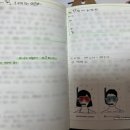 영스포츠타운 이미지