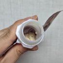 스위치온 다이어트 방법 맛있는 단백질 쉐이크 추천 데이바디핏을 마셔요